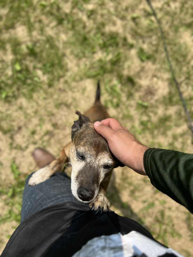 A friendly visitor on the job