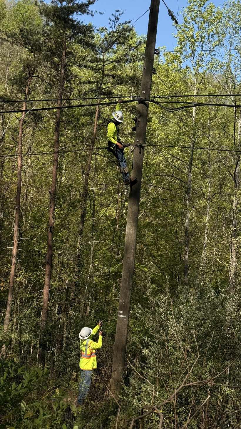 Two-man pole climb in the woods